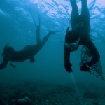 Los buceadores exploran la restauración de los océanos