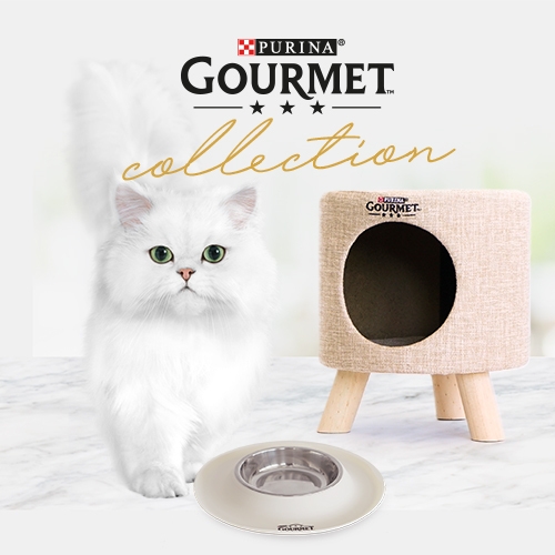 Gourmet collection