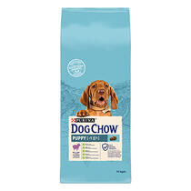 Dog Chow puppy cordero frontal