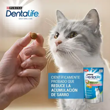 PURINA® DENTALIFE® snacks de salmón para gatos Momento de consumo