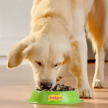 PURINA®  FRISKIES®  Adulto con Pollo, Cordero y Buey en Gelatina Momento de consumo