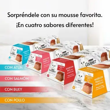 PURINA® GOURMET™ REVELATIONS™ Pirámide de Mousse, con Salmón y cascada de Salsa Vista Lateral