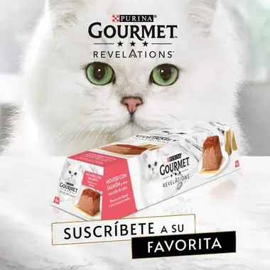 PURINA® GOURMET™ REVELATIONS™ Pirámide de Mousse, con Salmón y cascada de Salsa Vista Lateral