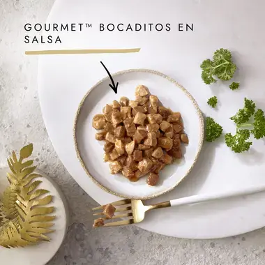 PURINA® GOURMET® GOLD Bocaditos en Salsa Pollo e Hígado Vista