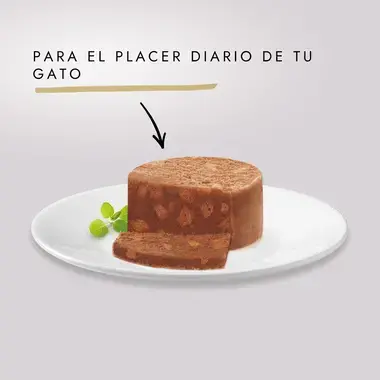 PURINA® GOURMET® GOLD Terrine con Salmón Textura