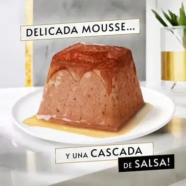 PURINA® GOURMET™ REVELATIONS™ Pirámide de Mousse, con Salmón y cascada de Salsa Textura