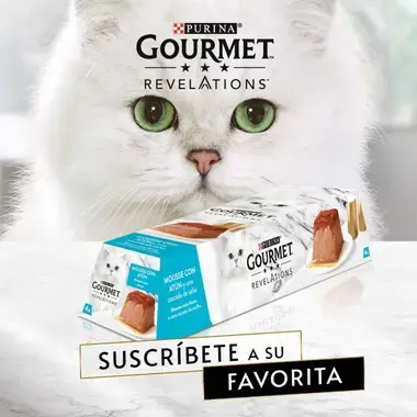 PURINA® GOURMET™ REVELATIONS™ Pirámide de Mousse, con Atún y cascada de Salsa Vista Lateral