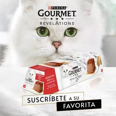 PURINA® GOURMET™ REVELATIONS™ Pirámide de Mousse, con Buey y cascada de Salsa Vista Lateral