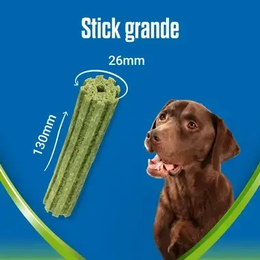 Dentalife active fresh large stick grande