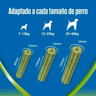 Dentalife active fresh large adaptado a cada tamaño