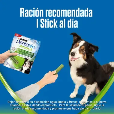 Dentalife active fresh medium racion recomendada