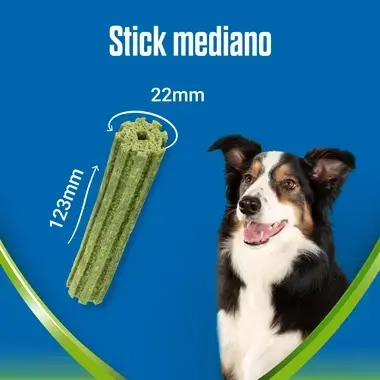 Dentalife active fresh medium stick mediano