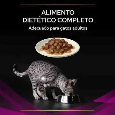 PURINA® PRO PLAN® VETERINARY DIETS Feline UR Urinary Sobres Salmón Textura