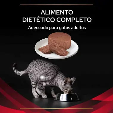 PURINA® PRO PLAN® VETERINARY DIETS Feline DM Diabetes Management Mousse Textura