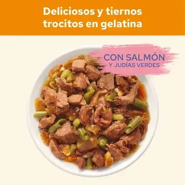 PURINA® CAT CHOW® Adulto Con Salmón