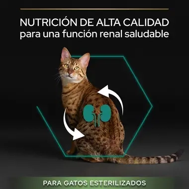 7613033564673_7 Nutrición