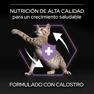 7613036545099_7 Nutrición