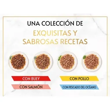 GOURMET™ Gold Delicias Suculentas Pack Surtido