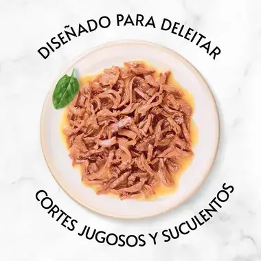 GOURMET™ Gold Delicias Suculentas con pollo