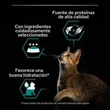  PURINA® PRO PLAN® Gato Lata Adulto MAINTENANCE Terrina rico en pollo