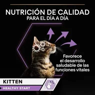 PURINA® PRO PLAN® Gato Kitten con Pavo en Salsa