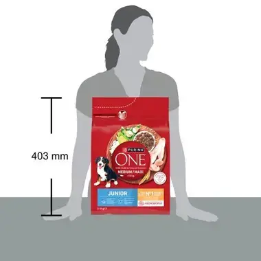 PURINA ONE® MEDIUM/MAXI >10kg Junior Pollo y Arroz 2,5kg