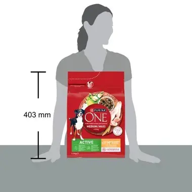 PURINA ONE® MEDIUM/MAXI >10kg Active Pollo y Arroz 2,5kg