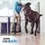 PURINA® DENTALIFE® snacks para perros grandes Momento de consumo