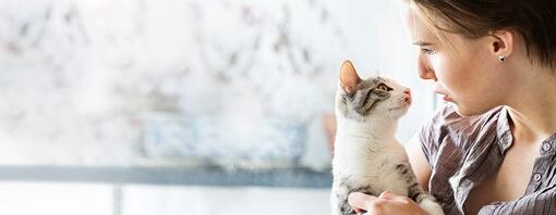 Gatito de pelo claro en los brazos de su dueña