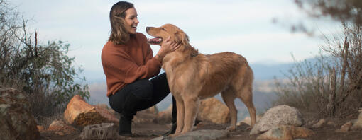 Perro Golden Retriever con su dueño en la montaña