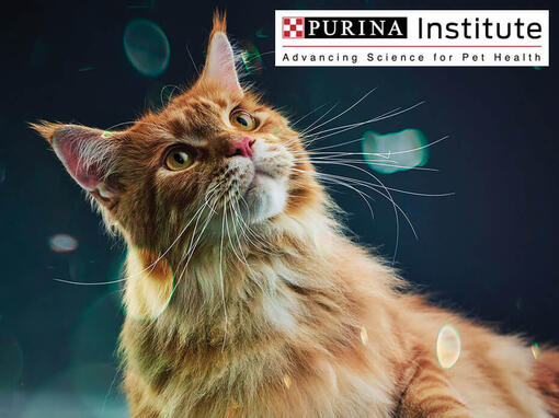 Instituto Purina e innovación