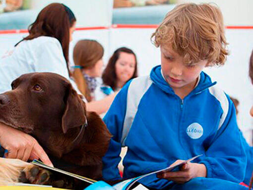 Perro en a escuela con un niño​