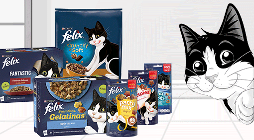 Gamas Purina Felix para gatos