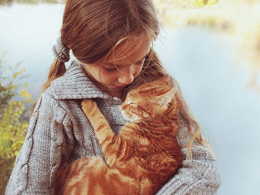 Niño acariciando un gato atigrado