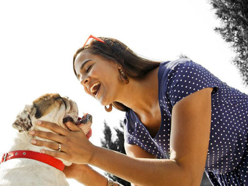 Mujer hablando con un bulldog