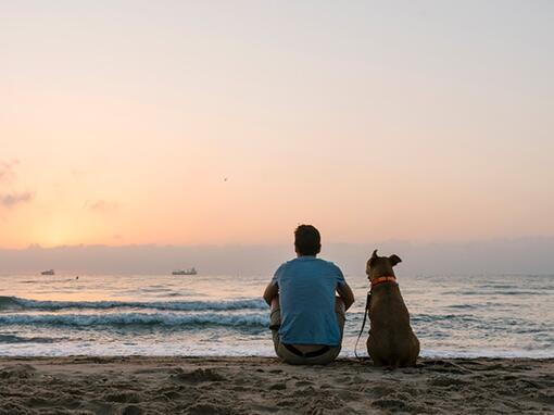 un hombre con un perro