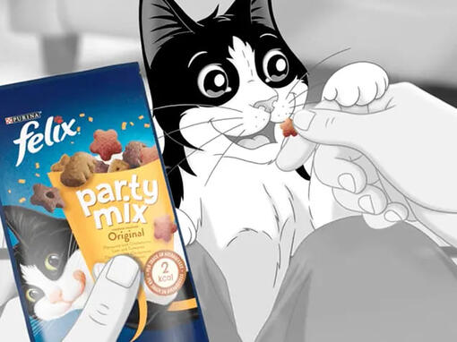 Felix being fed Party Mix treat