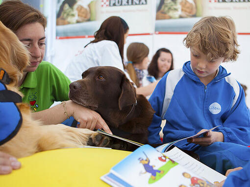 Fotografía de escuela con perros