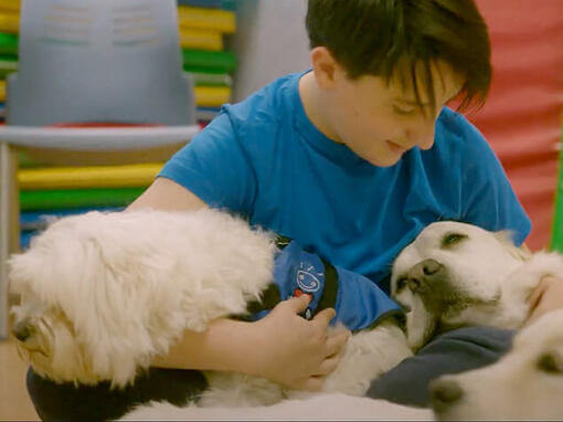 Niño acariciando a perro